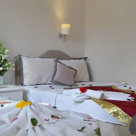 Yunus אולודניץ