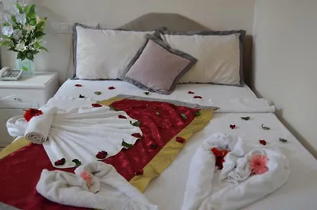 Yunus אולודניץ